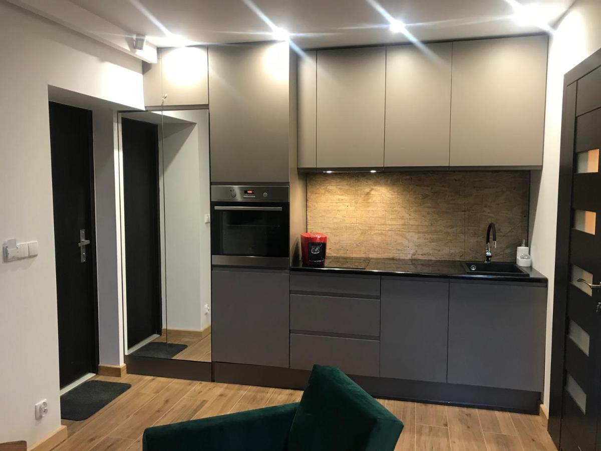 Apartamenty Mecenasowka Закопане Экстерьер фото